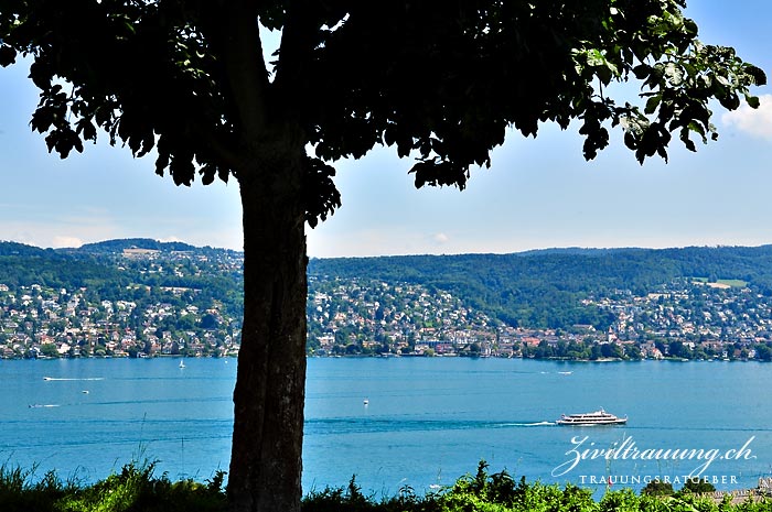 The view onto Lake Zurich from across the road