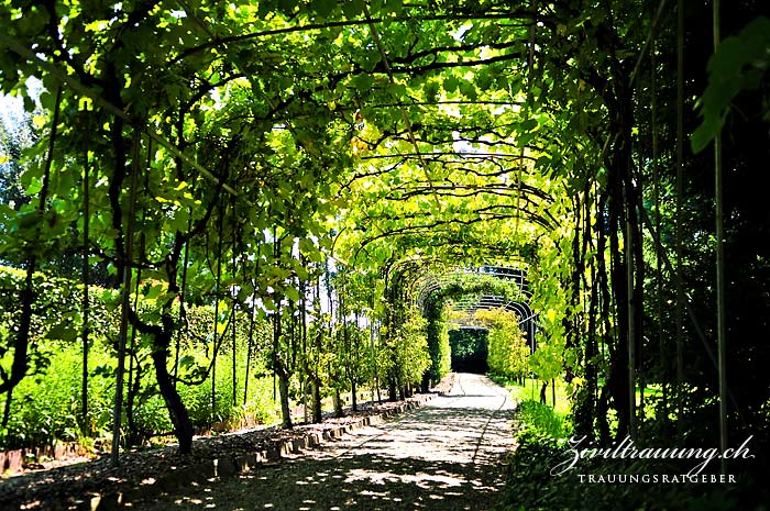 Das C.F.Meyer Haus hat einen grossen Garten